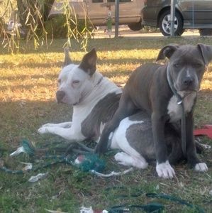 Meet your Posher, Connie